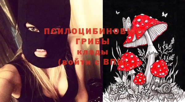 амф Дубна