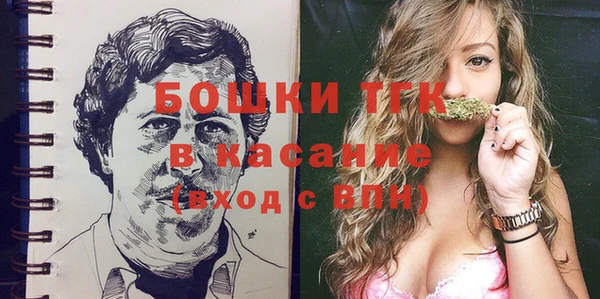 молекула духа Переславль-Залесский