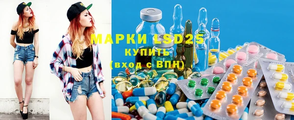 ГАЛЛЮЦИНОГЕННЫЕ ГРИБЫ Пестово