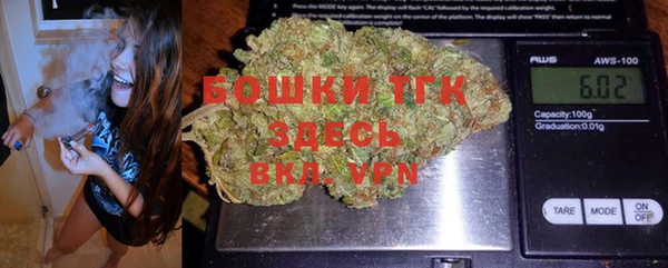 ешки Вяземский