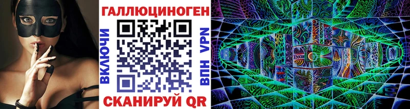 где купить наркоту  Кохма  Псилоцибиновые грибы Cubensis 