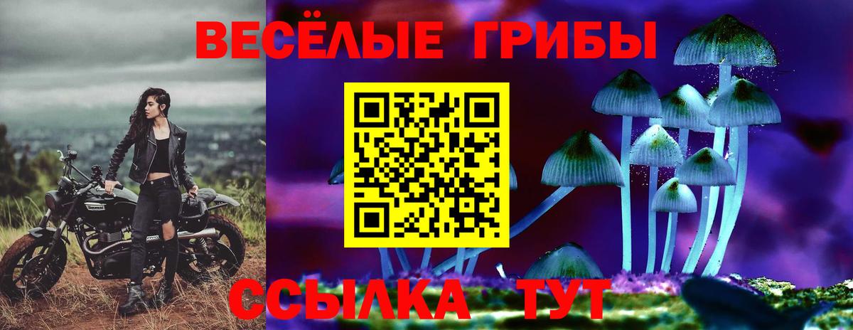 Псилоцибиновые грибы Psilocybe  Вход с VPN  Галлюциногенные грибы GOLDEN TEACHER  дарнет шоп  Кохма 