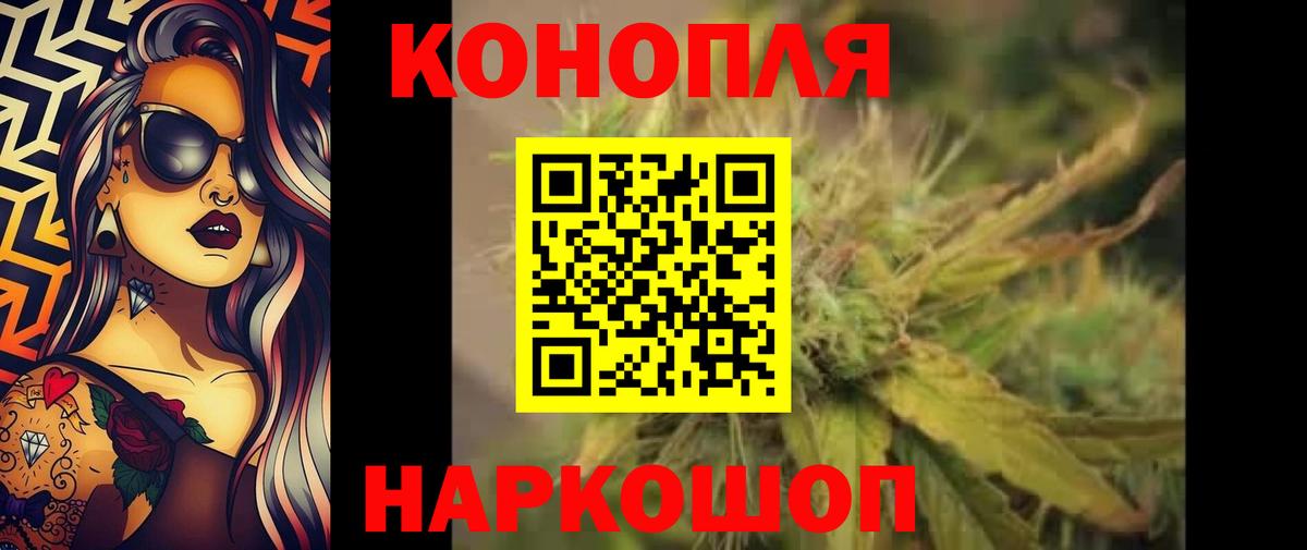 МАРИХУАНА ГИДРОПОН Кохма